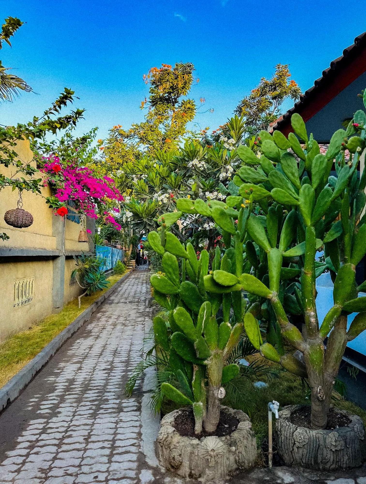 Creative Bungalow Beach Front Gili Trawangan Exterior photo